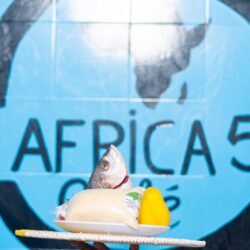 c0b522b7-2717-4a56-8f50-86ef5b97276f